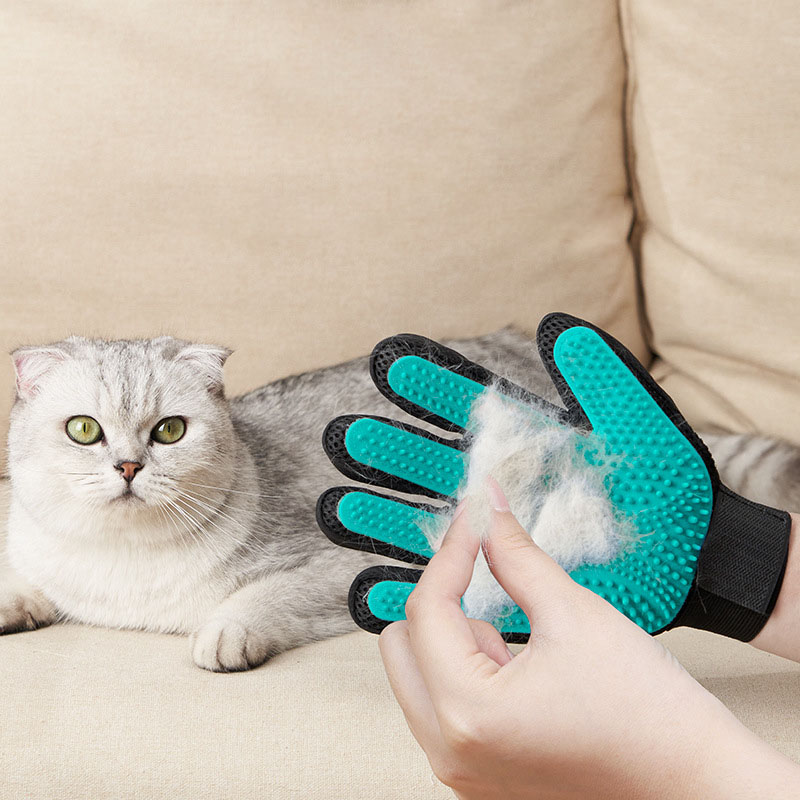 ペットグルーミンググローブ、猫と犬用の優しい毛取りミット、入 - Rubber Glove Cleaning のレビューと価格